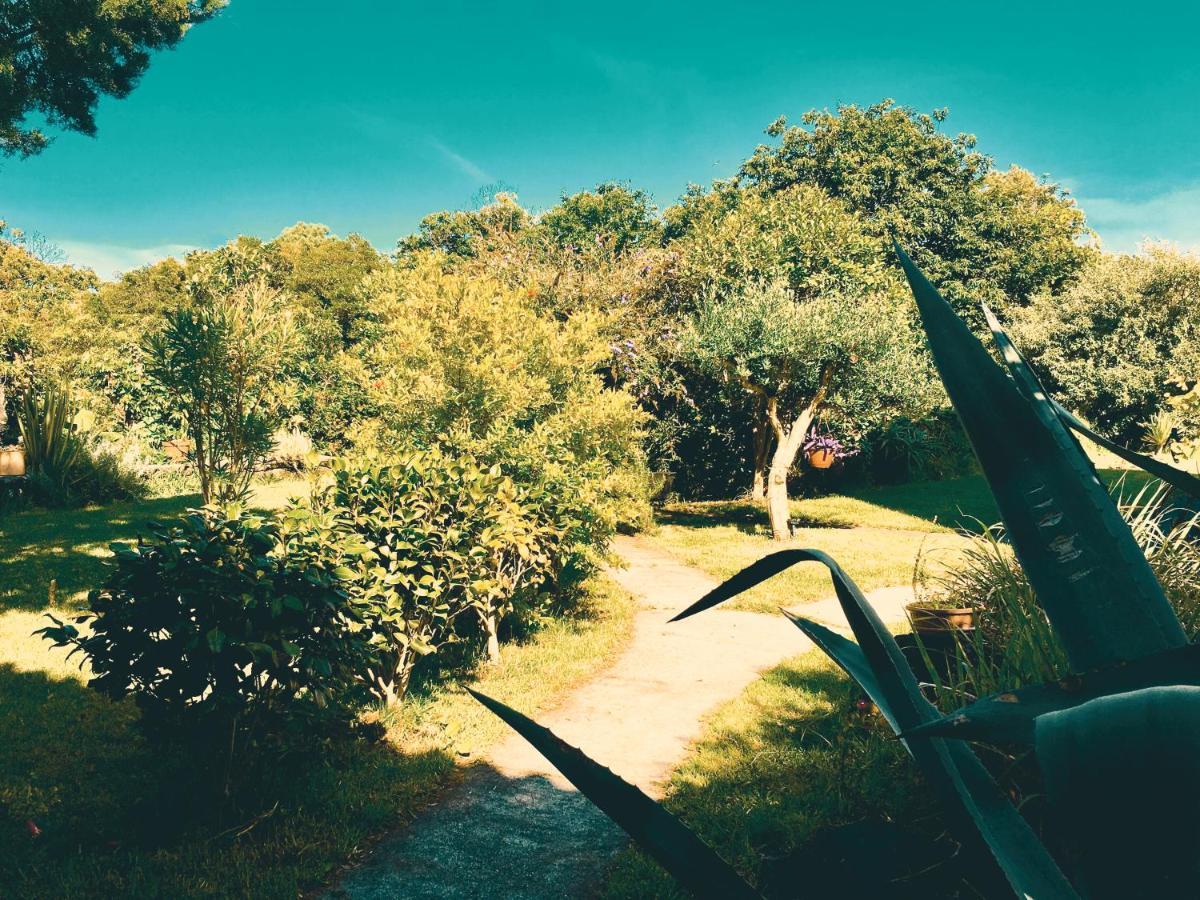 Quinta Das Almas São Roque do Pico Exterior foto