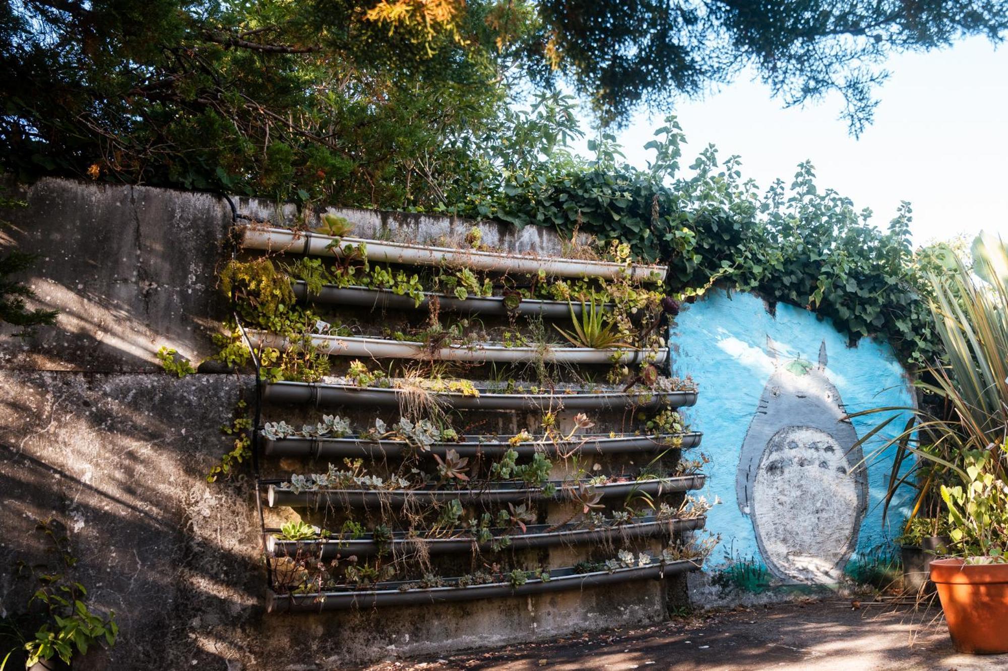 Quinta Das Almas São Roque do Pico Exterior foto